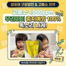 구강검진 충치제로! 6개월부터 정착한 고불소치약 내돈내산 후기
