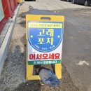 선유도활어회센타