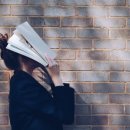 라인행정사 이미지