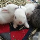 헤이븐 기독학교 이미지