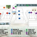 한남대학교 자연사박물관 이미지