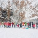 숲자연어린이집 이미지