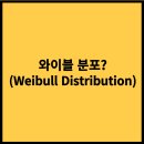 와이블 이미지