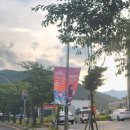 울주 피크닉 콘서트 유월의 밤 이미지