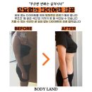 바디랜드 이미지
