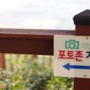 낙동강하구아미산전망대 이미지