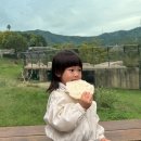 분수대푸드플라자 이미지