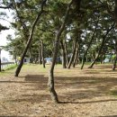 주전가족휴양지캠핑장화장실 이미지