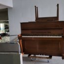 신장유 일동미라주 더파크 이미지