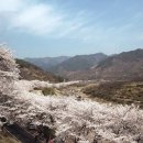 하늘바다 이미지