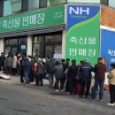 고령축산물판매장