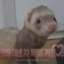 용식농장 이미지