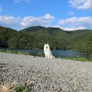 북울산주유소 이미지