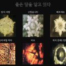 유기체
