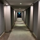 메종카 | [제주 숙소] 제주공항 근처 5성급 호텔 “메종 글래드 제주“ 숙소 추천 후기