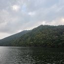 조행 | 트리리그 대청호 배스낚시 조행 겨울 공략 채비 사용 후기