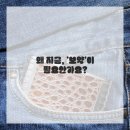 올본한의원 | 기력 충전 제대로! 나에게 딱 맞는 보약, 똑똑하게 처방받는 법