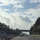 호텔 홀인원 | 제주 포도호텔 왕(자)새우 짬뽕 우동 내돈내산 피땀눈물 흘린 후기