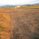 천우 농장 이미지