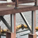 평사리의 그집 이미지