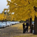 바다양푼이동태탕쭈꾸미 아산배방점 | 아산 맛집 : 아산 중심지 맛집 · 신정호 주변 맛집...탕정 맛집 · 배방 맛집 · 송악 맛집 · 도고...