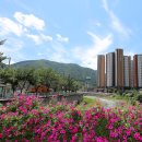 천본2리 이미지