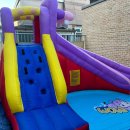 양재목련 이미지