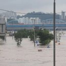 과연 서울시에서 그대로 시행할지 궁금한 한강 프로젝트 이미지