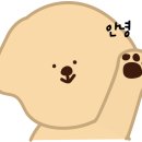 큰마음동물메디컬센터 이미지