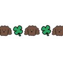 까치세차장 이미지