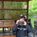 우든하우스양양 이미지