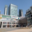 가온이비인후과의원 이미지