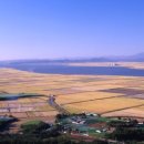 천수만목장 이미지