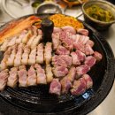 목구멍고양