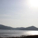 서울회센타 이미지