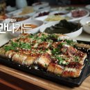 풍천장어 이미지