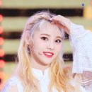 진솔마트 이미지