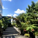 조훈치과의원 이미지