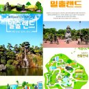 [제주도] 가을 여행メ트레킹/관광(1박2일/2박3일) ▷8명부터 수시 출발~ 이미지