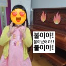 불도유치원 이미지