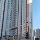 주정차-14 이미지