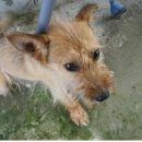 영림축산 이미지