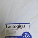 (주)이오투어 | [비뇨유산균] 잔뇨감 멈춰! 락토지구 프로바이오틱스 정착으로 다져진 웰니스 루틴