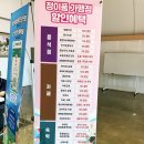 그린브라우니속리산점