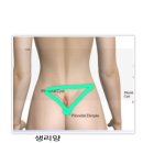 머릿결사랑 이미지