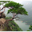 수한목장 이미지