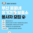 세븐일레븐 부산동대신2호점 네이버블로그