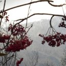 제눈에 안경 이미지