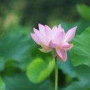 도담펜션 이미지