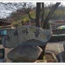 산수유 축제 : 동해마을~동주리봉~매봉~오산~사성암~주연마을~산수유 축제장(1) 이미지